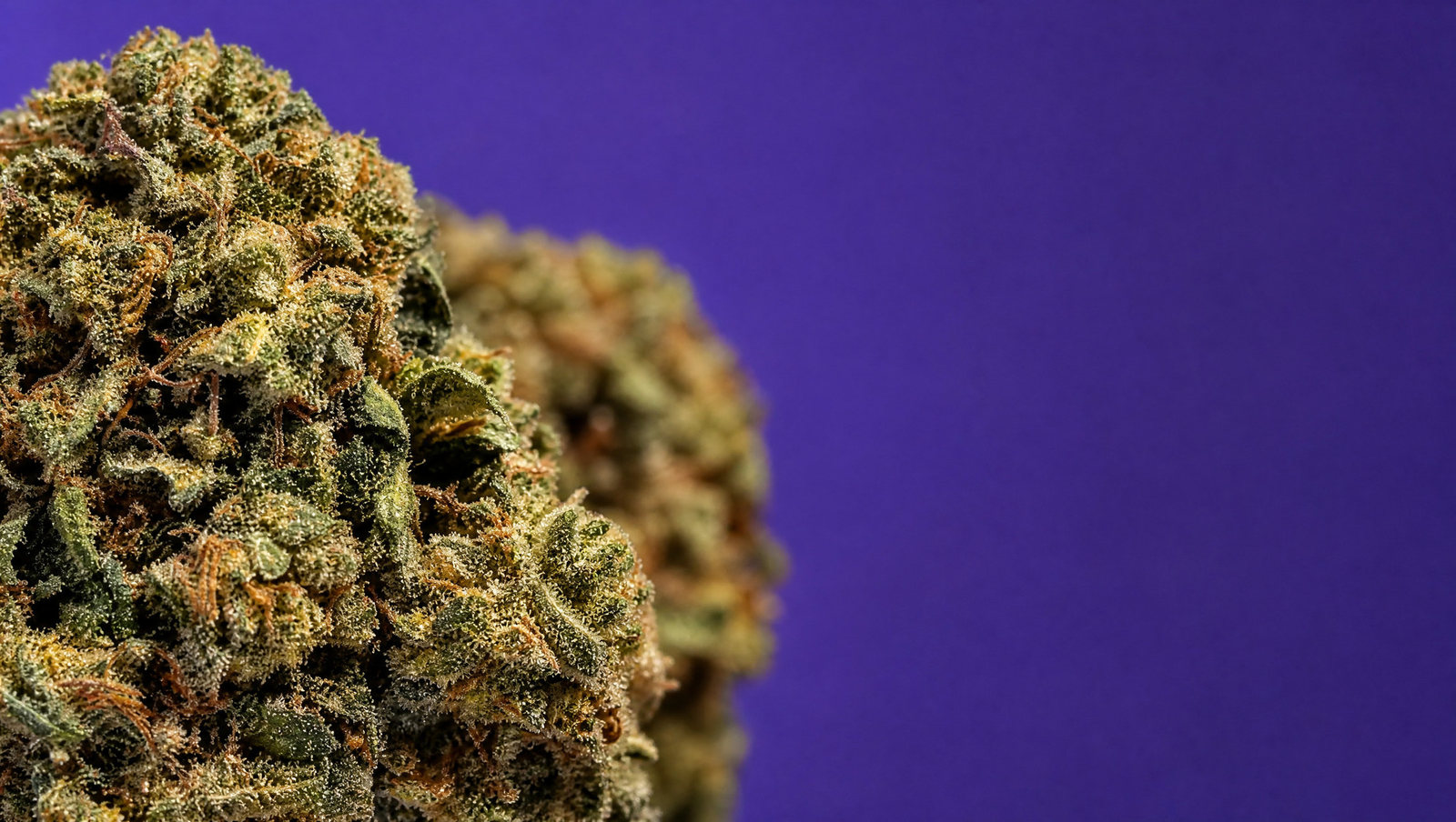 Macro — AK47 30 %