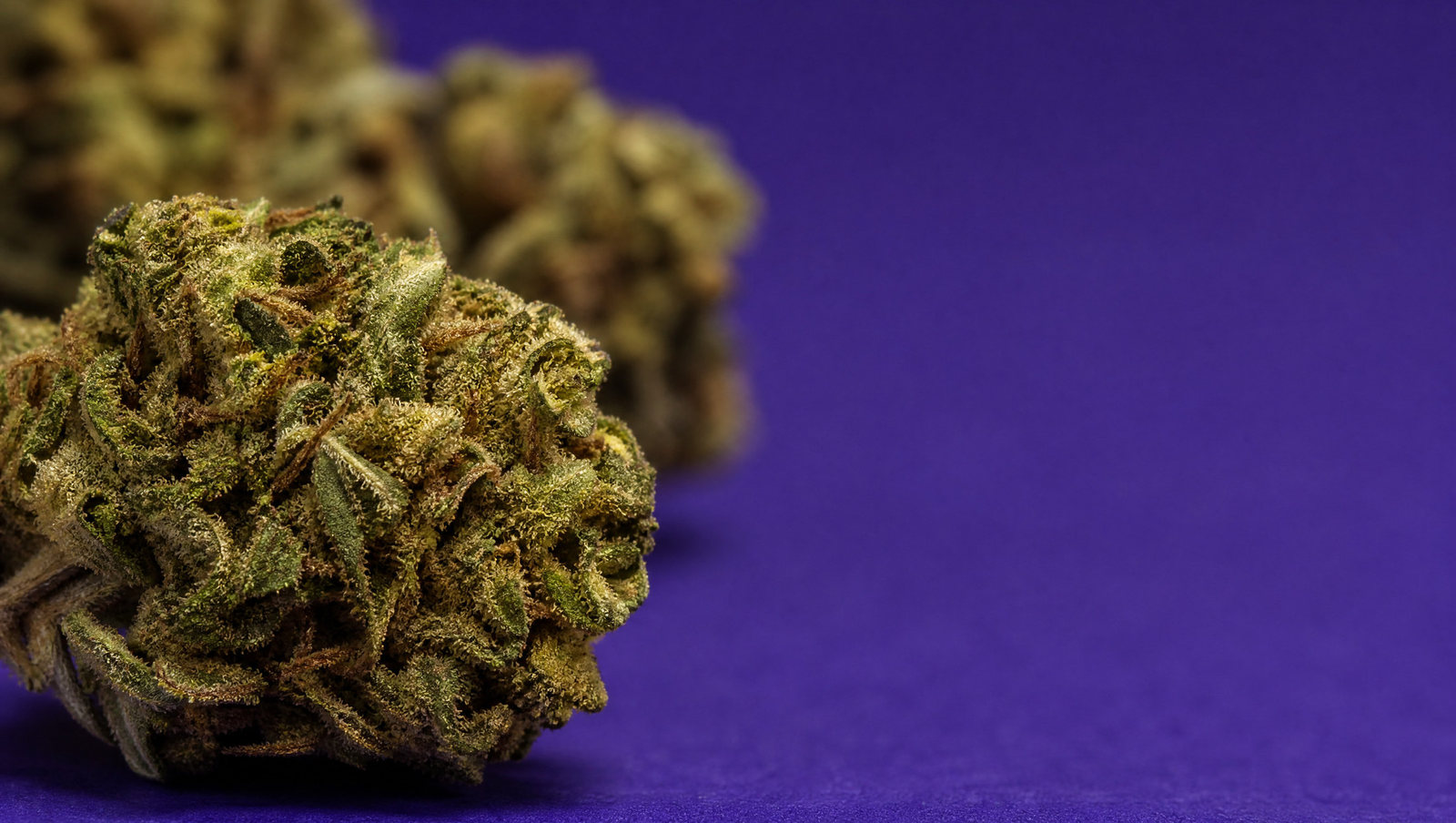 Macro — AK47 · Small buds 30 %