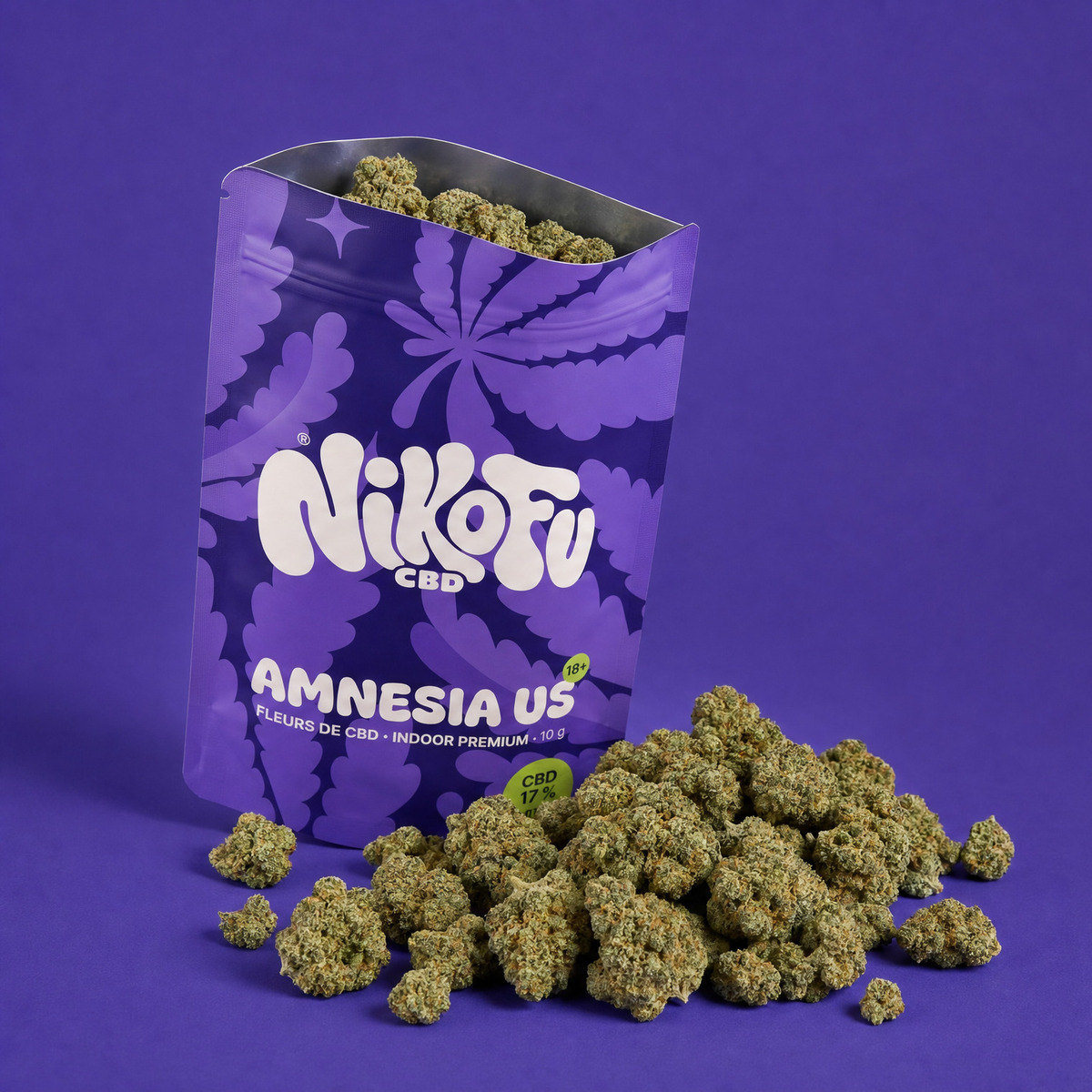 Amnesia US