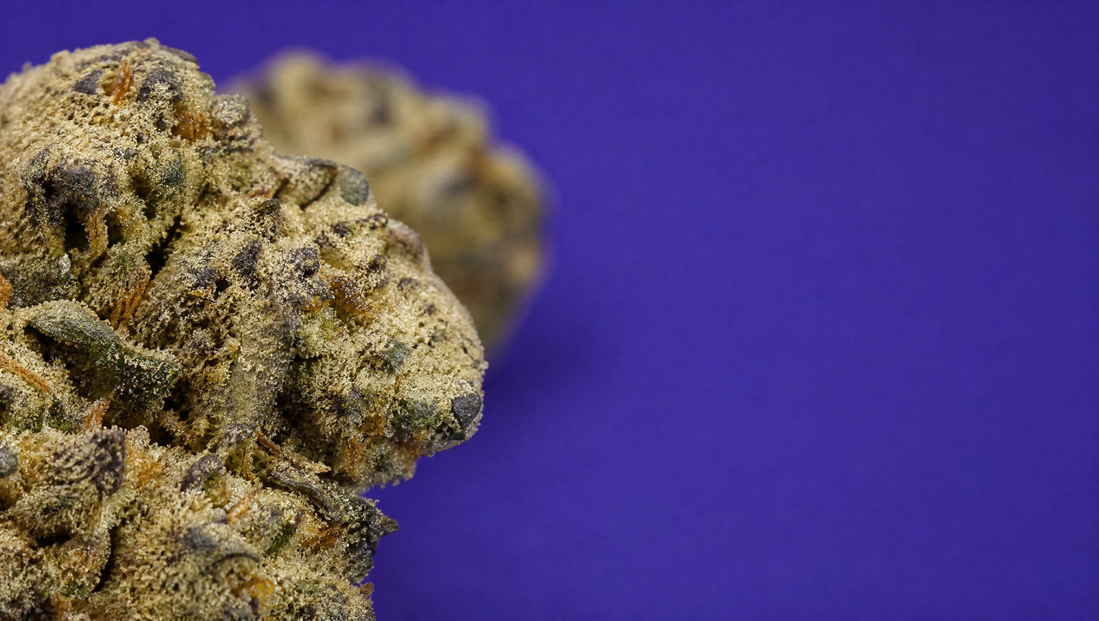 Macro — Moonrock CBN