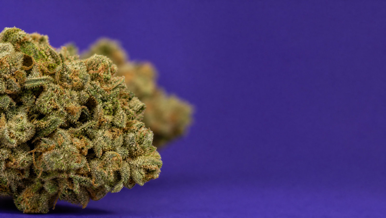 Macro — Sour Diesel
