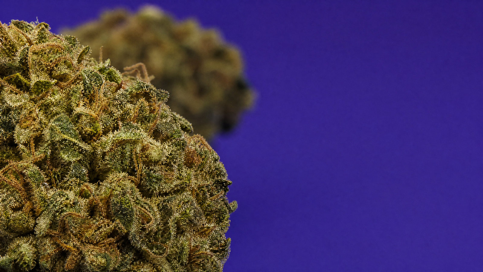 Macro — Super Lemon Haze 30 %